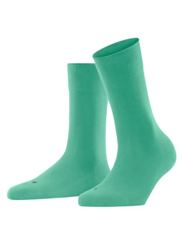 Falke Sokken groen