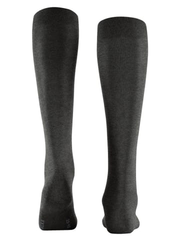 Falke Sportsocken in Schwarz