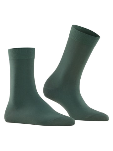 Falke Sokken groen