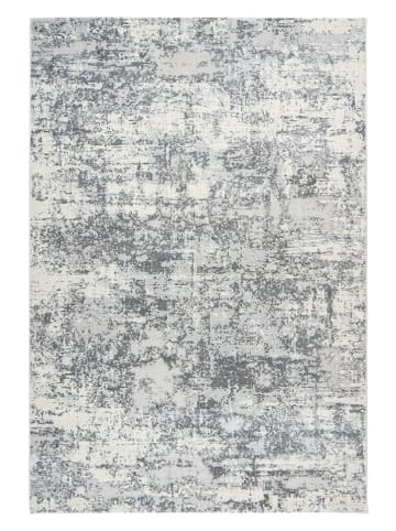 Pierre Cardin Kurzflor-Teppich "Paris" in Hellgrau