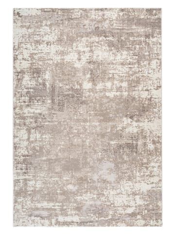 Pierre Cardin Laagpolig tapijt "Paris" taupe