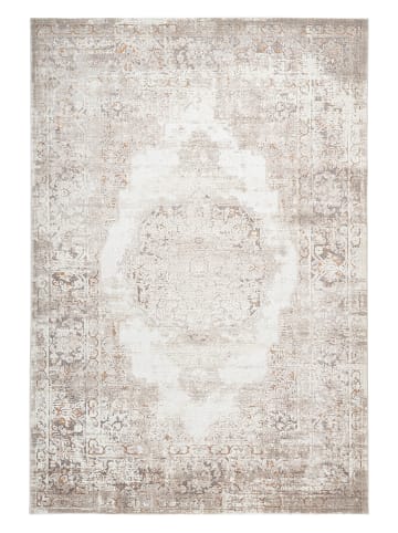 Pierre Cardin Laagpolig tapijt "Paris" taupe