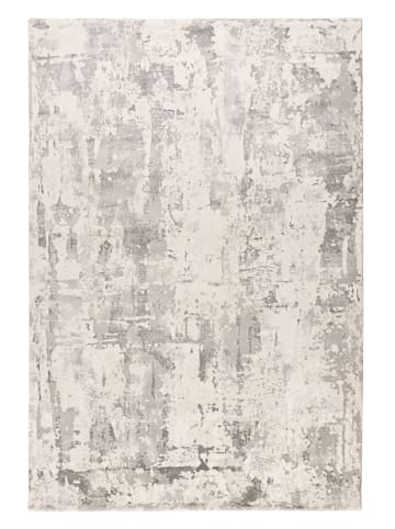 Pierre Cardin Kurzflor-Teppich "Tropez" in Creme/ Hellgrau