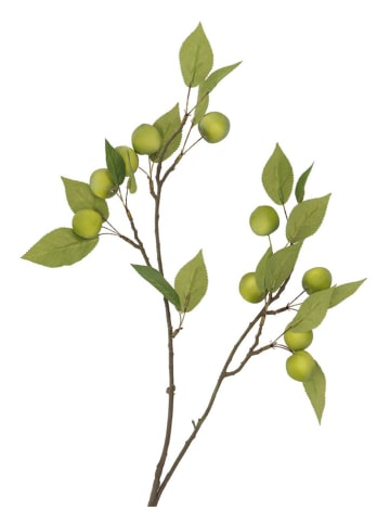 daan kromhout Decotak "Apple Plum" groen - (H)76 cm