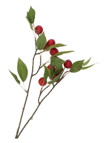 daan kromhout Decotak "Apple Plum" rood/groen - (H)76 cm