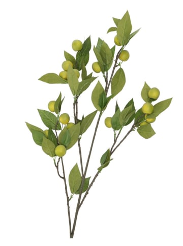 daan kromhout Decotak "Apple Plum" groen - (H)90 cm