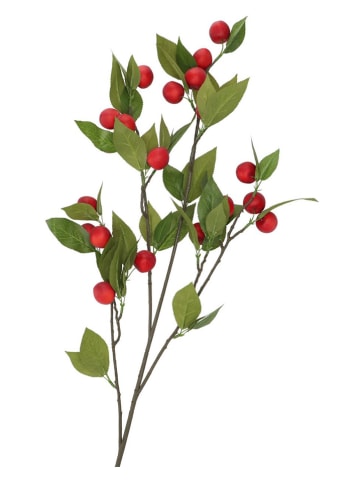 daan kromhout Dekozweig "Apple Plum" in Rot/ Grün - (H)90 cm