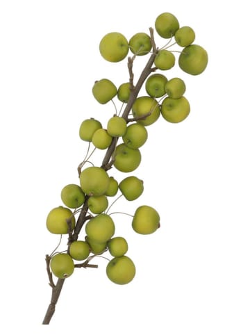 daan kromhout Dekoracyjna gałązka "Apple Sentinel" w kolorze zielonym - wys. 66 cm