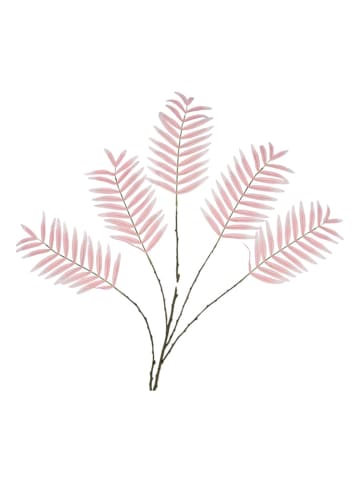 daan kromhout Decotak "Palm Leaf" lichtroze/bruin - (H)125 cm