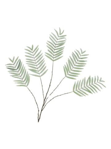 daan kromhout Dekozweig "Palm Leaf" in Grün/ Braun - (H)125 cm