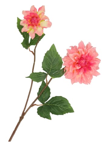 daan kromhout Sztuczny kwiat "Dahlia" w kolorze jasnoróżowo-zielonym - wys. 60 cm