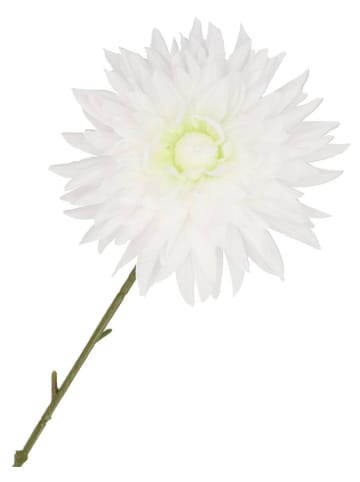 daan kromhout Kunstboeket "Dahlia" wit/groen - (H)65 cm