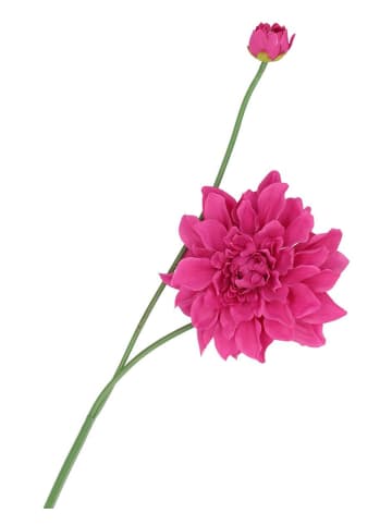 daan kromhout Kunstblume "Dahlia" in Pink/ Grün - (H)78 cm