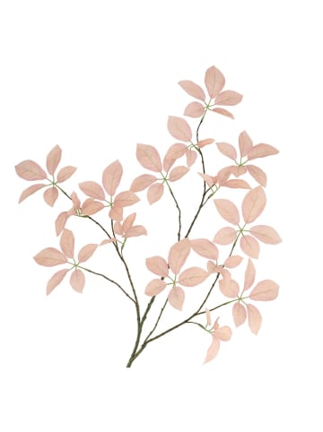 daan kromhout Decotak "Leaf Elder" lichtroze/bruin - (H)124 cm