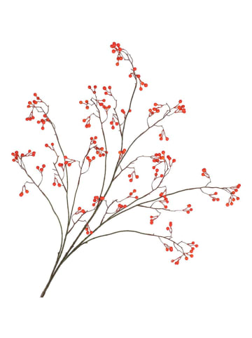 daan kromhout Decotak "Berry" rood/bruin - (H)135 cm