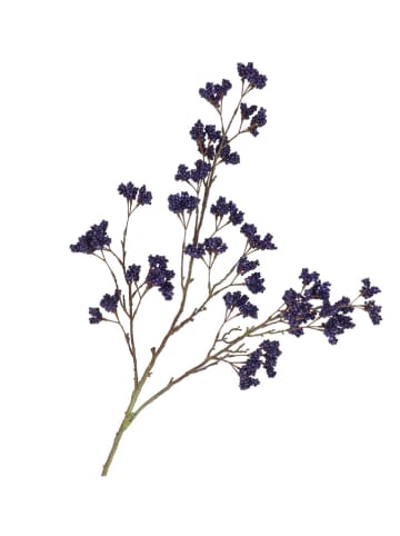 daan kromhout Decotak "Berry Spice" blauw/bruin - (H)108 cm