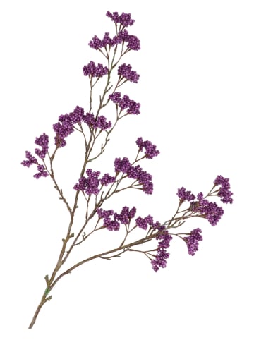 daan kromhout Decotak "Berry Spice" donkerpaars/bruin - (H)108 cm