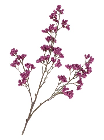 daan kromhout Decotak "Berry Spice" paars/bruin - (H)108 cm