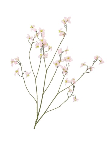 daan kromhout Dekozweig "Buttercups" in Rosa/ Braun - (H)100 cm