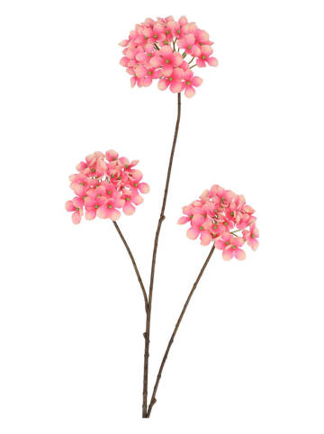 daan kromhout Sztuczny kwiat "Hydrangea" w kolorze jasnoróżowo-brązowym - wys. 85 cm