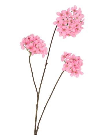 daan kromhout Sztuczny kwiat "Hydrangea" w kolorze jasnoróżowo-brązowym - wys. 85 cm