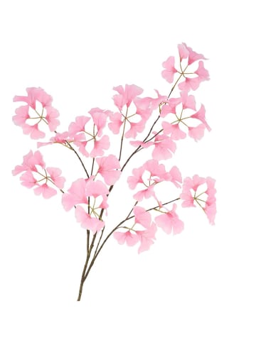 daan kromhout Dekozweig "Ginkgo" in Rosa/ Braun - (H)130 cm