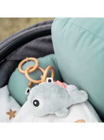 done by deer Rammelaar "Wally"- vanaf de geboorte