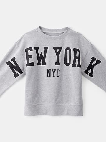 carter's Pullover in Grau