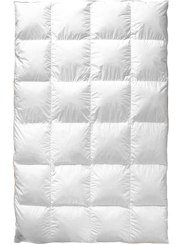 Frau Holle Winter-Daunen-Kassettenstegdecke "Goldstarente" in Weiß