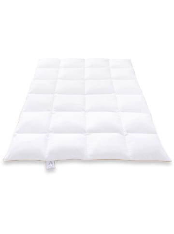 Frau Holle Winter-Daunen-Kassettenstegdecke "Goldstarente" in Weiß