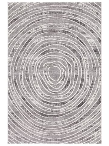 Conceptum Hypnose Dywan "Elmina F0333" w kolorze szarym