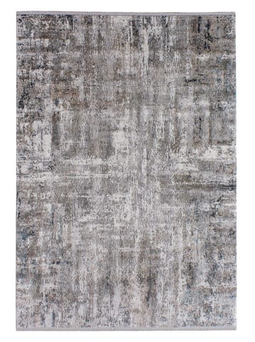 Conceptum Hypnose Kurzflor-Teppich ''Leo 0076'' in Grau