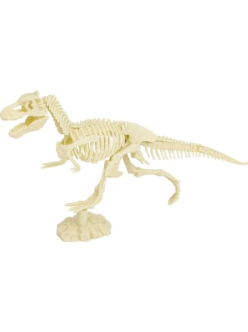 Ulysse Ausgrabungsset "Tyrannosaurus" - ab 6 Jahren