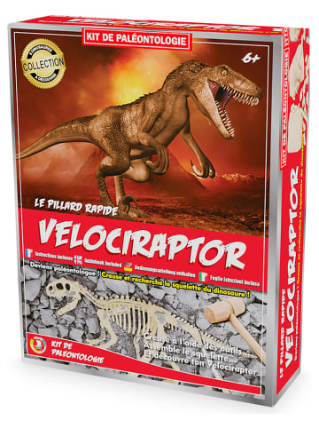 Ulysse Ausgrabungsset "Velociraptor" - ab 6 Jahren