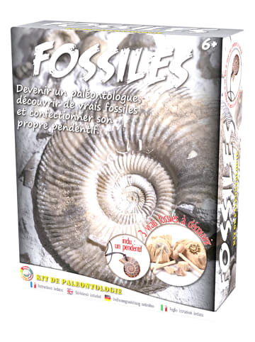 Ulysse Ausgrabungsset "Fossil" - ab 6 Jahren