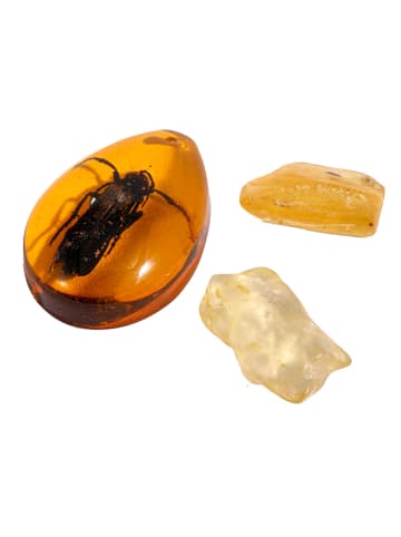 Ulysse Zestaw wykopaliskowy "Ambre" - 6+