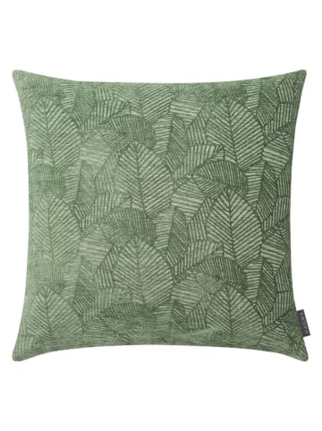 Magma Heimtex Poszewka "Alison" w kolorze zielonym na poduszkę - 60 x 60 cm