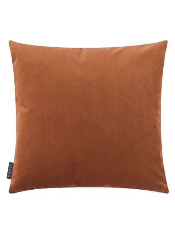 Magma Heimtex Samt-Kissenhülle "Selina" in Hellbraun - (L)50 x (B)50 cm