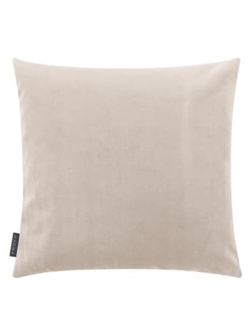 Magma Heimtex Samt-Kissenhülle "Selina" in Creme - (L)50 x (B)50 cm