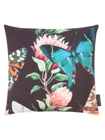 Magma Heimtex Poduszka "Nachtfalter" ze wzorem - 45 x 45 cm