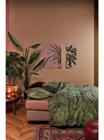 At Home Komplet pościeli renforcé "Feel Warm" w kolorze zielonym