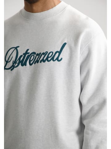 DSTREZZED Sweatshirt in Hellgrau