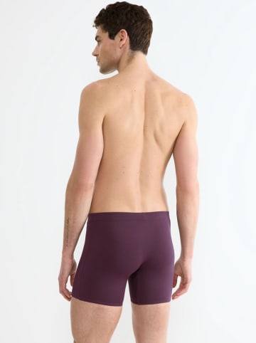 Sloggi 2er-Set: Boxershorts ''Go Natural" in Taupe/ Bordeaux