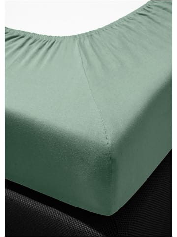 Bierbaum Prześcieradło dżersejowe w kolorze zielonym na gumce