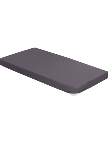 Bierbaum Prześcieradło dżersejowe w kolorze antracytowym na gumce