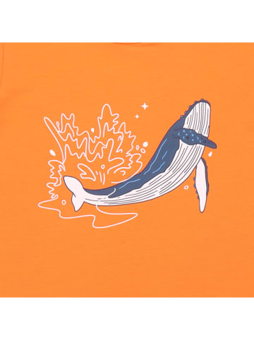 Walkiddy Shirt in Orange