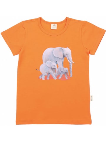 Walkiddy Shirt in Orange