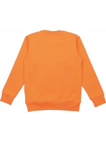 Walkiddy Sweatshirt in Orange