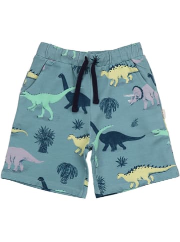 Walkiddy Shorts in Blau