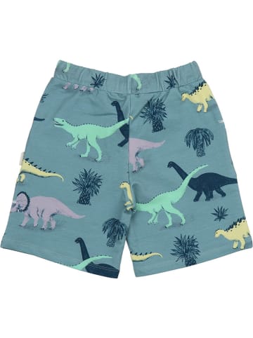 Walkiddy Shorts in Blau